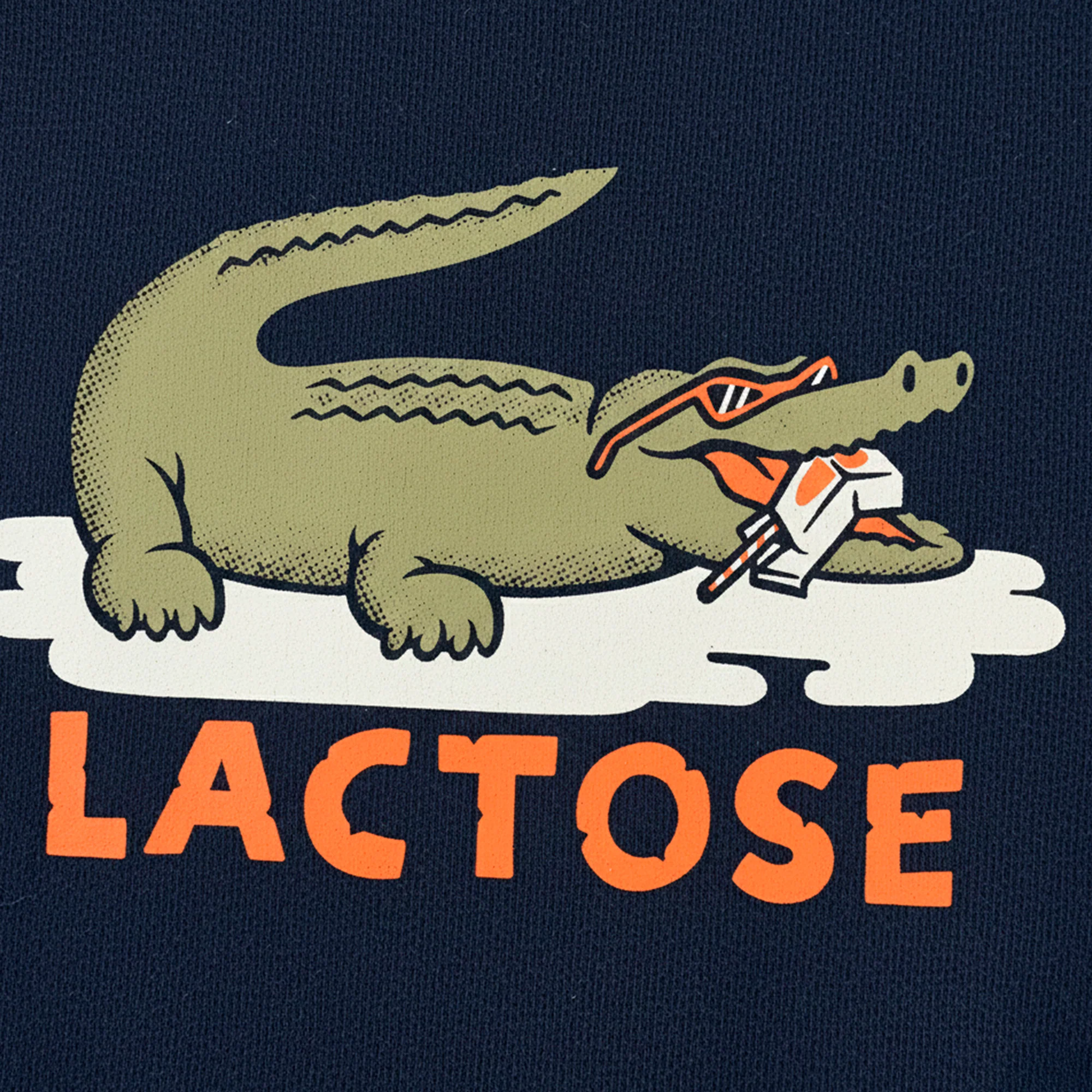 Lactose - Image 3