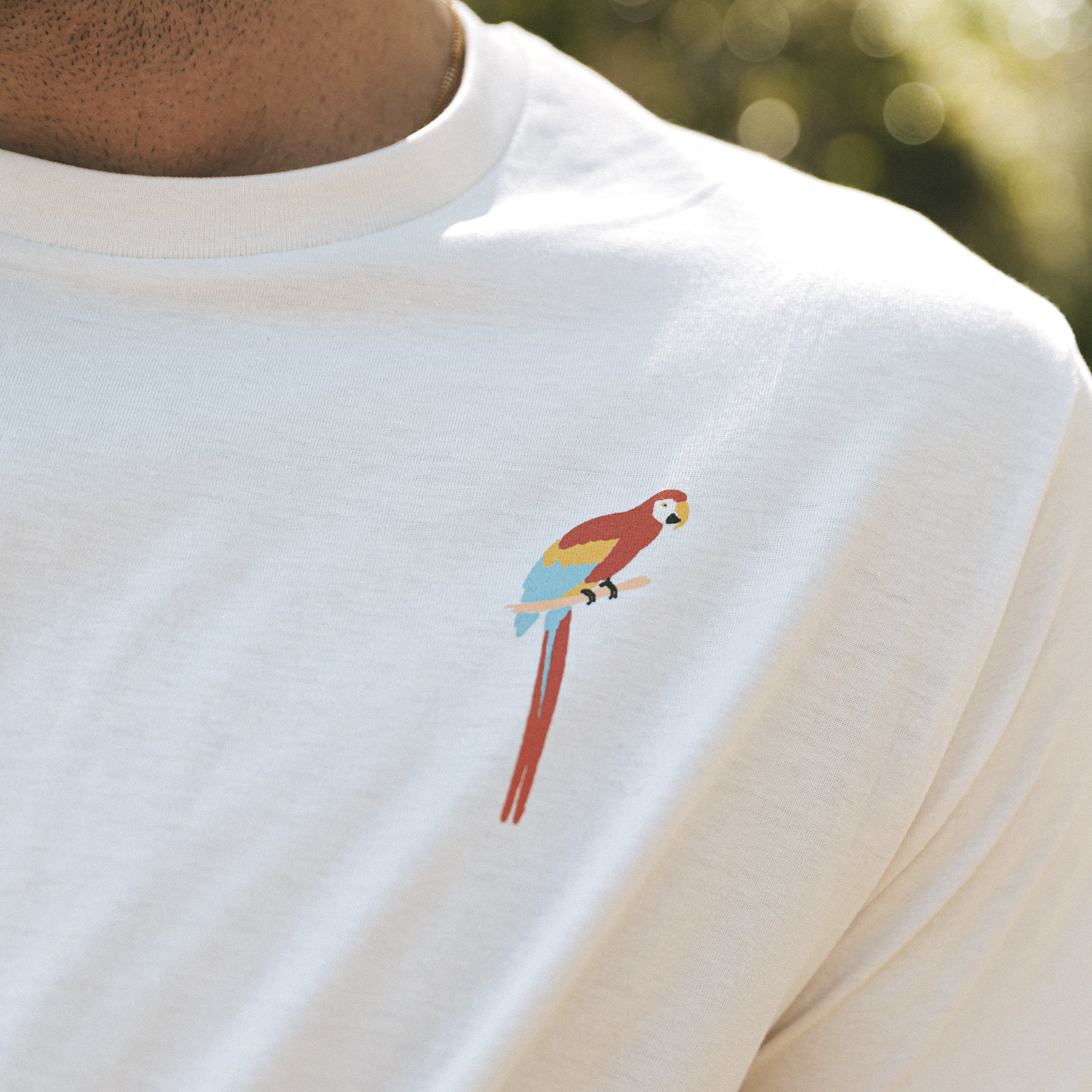 Parrot - Image 2