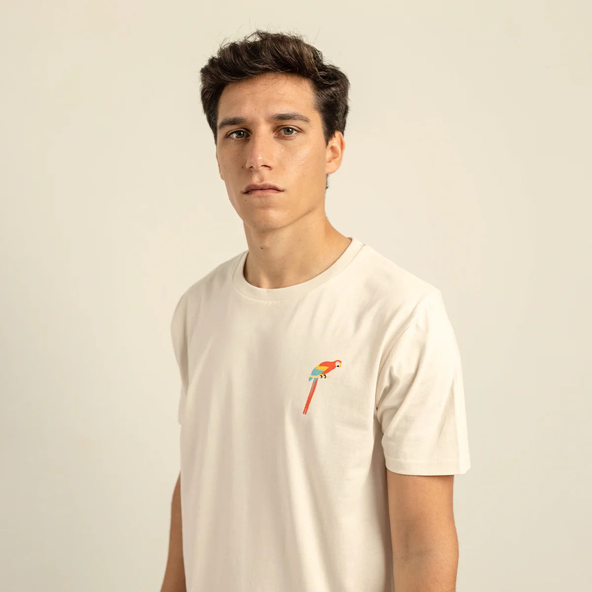 Parrot - Image 4