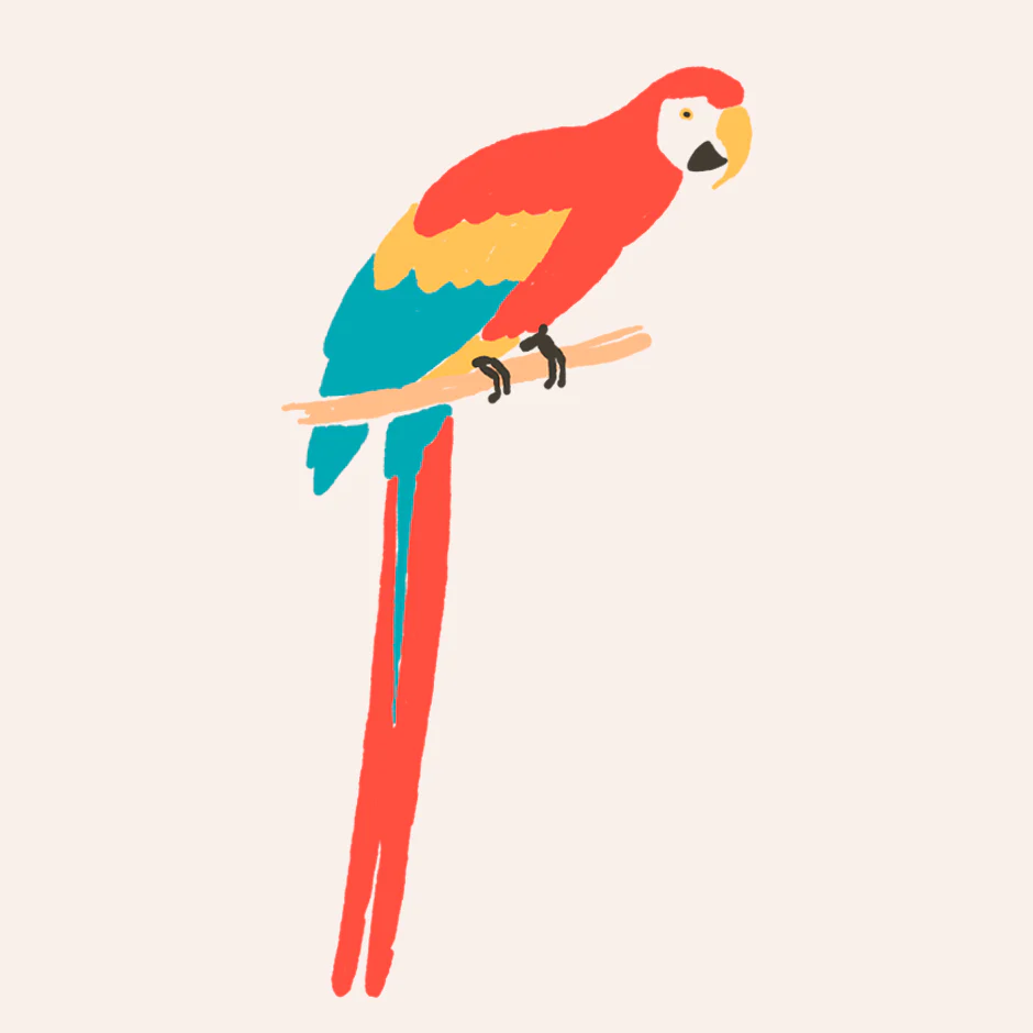 Parrot - Image 7