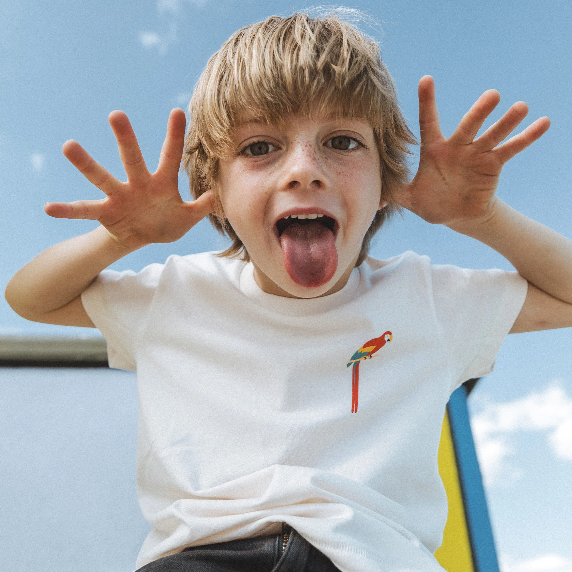 Parrot Kids - Image 2
