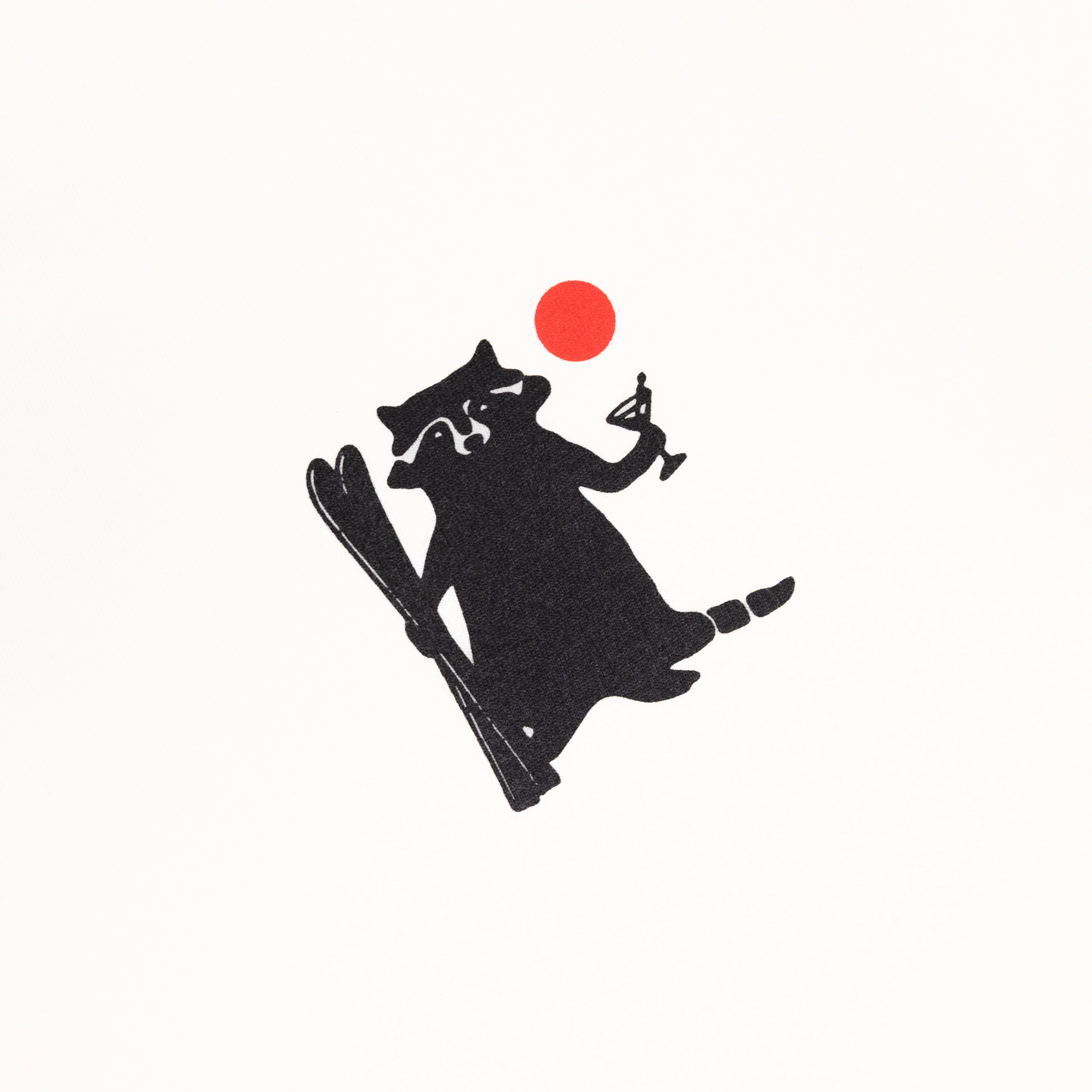 Skiing Raccoon - Image 3