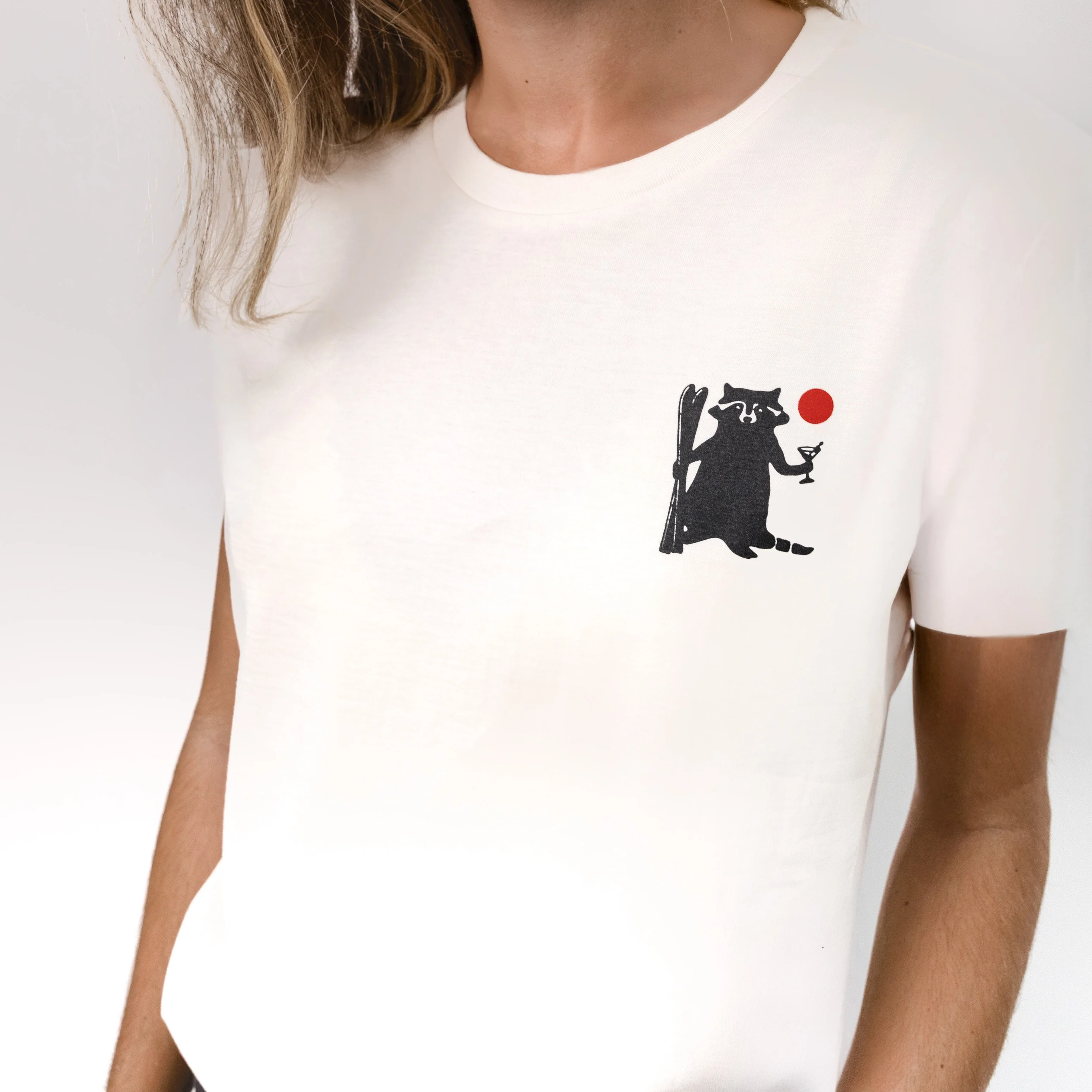 Skiing Raccoon - Image 4