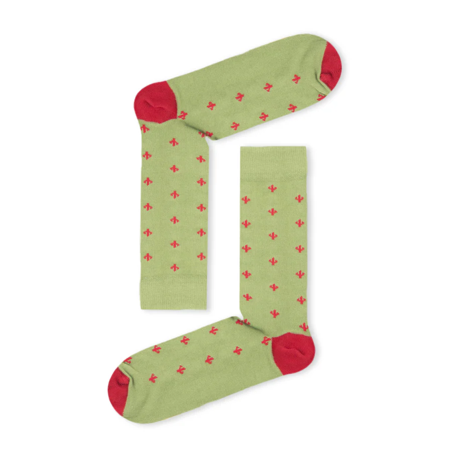Socks Cactus - Image 2