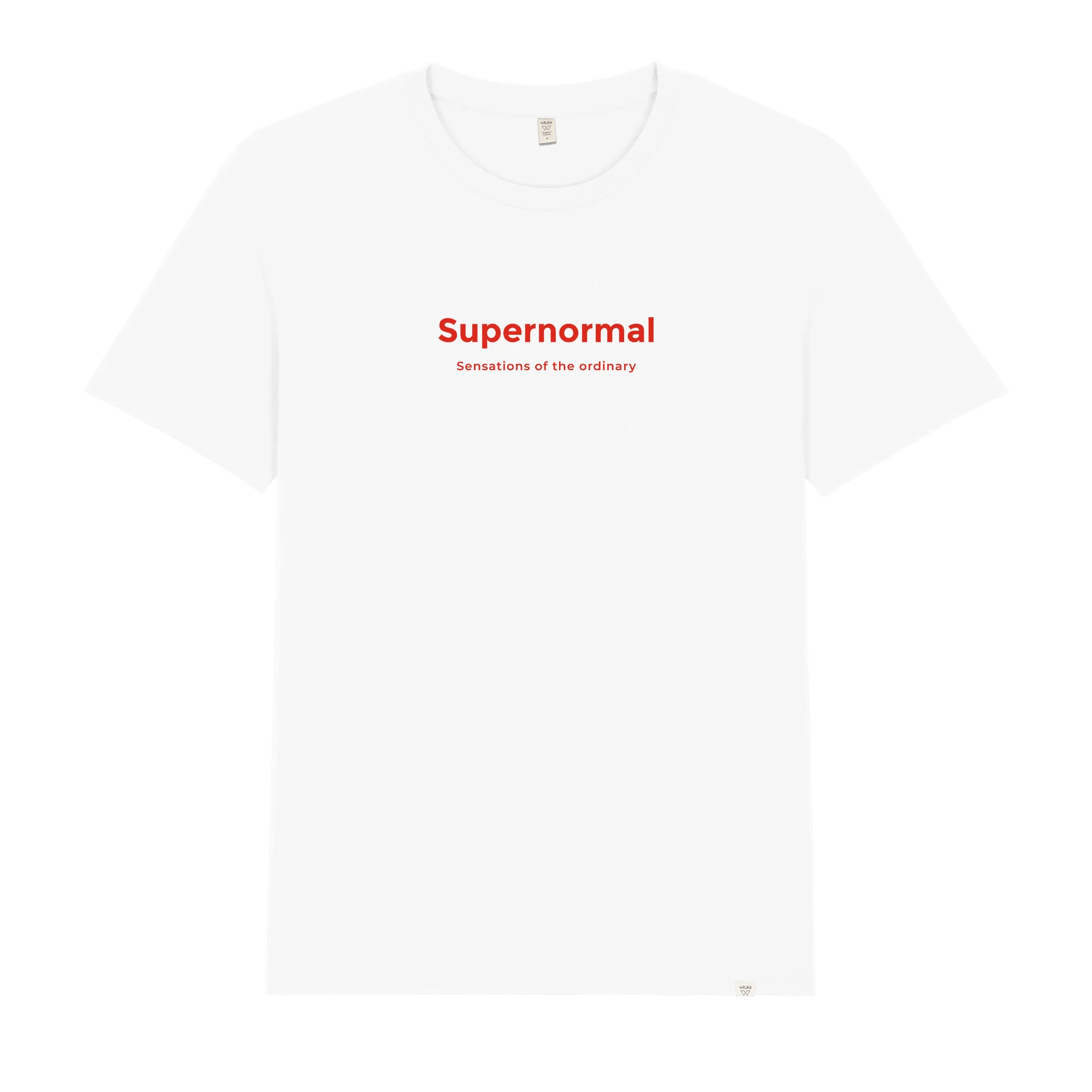Supernormal - Image 2