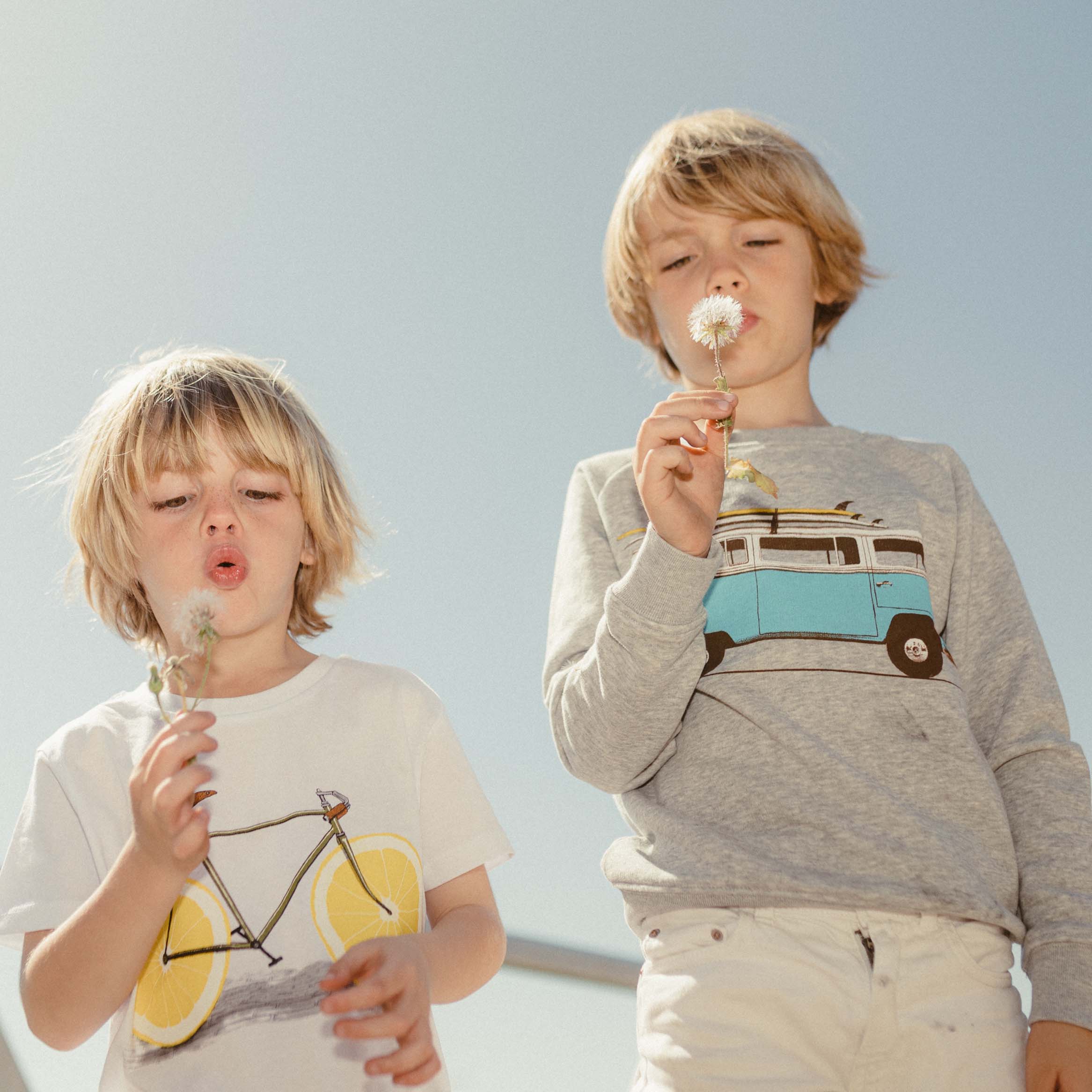 Zest Kids - Image 2